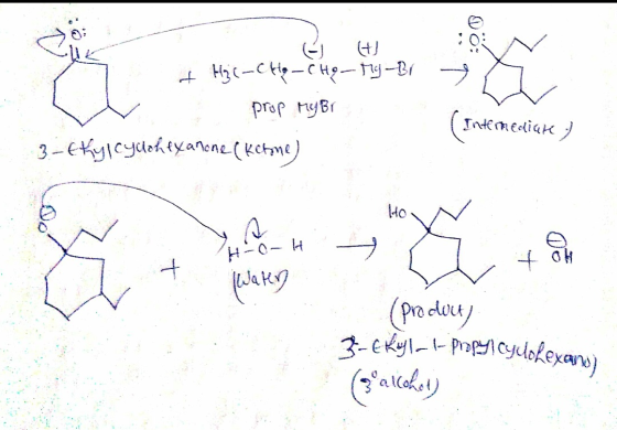 --- - 2 Hit-ct, — сH— Tj — В1 рrор нува 3-etylcyclohexanone (ketone) (Intermediate) те) How (Јако (products Bekyl- l-propyl C
