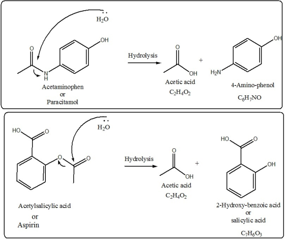 нзо он он Hydrolysis OH H2N Acetic acid 4-Amino-phenol Acetaminophen or Paracitamol CH402 нзо HO HO Hydrolysis SIS он он Acet