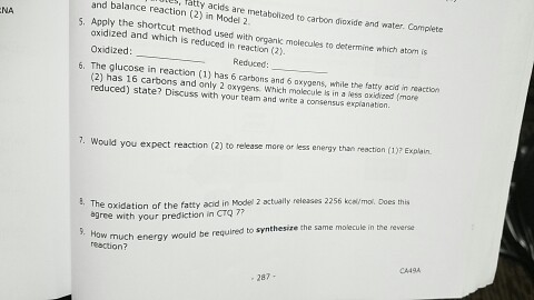 e the t is Activity 49A overview of Metabolism (Ho