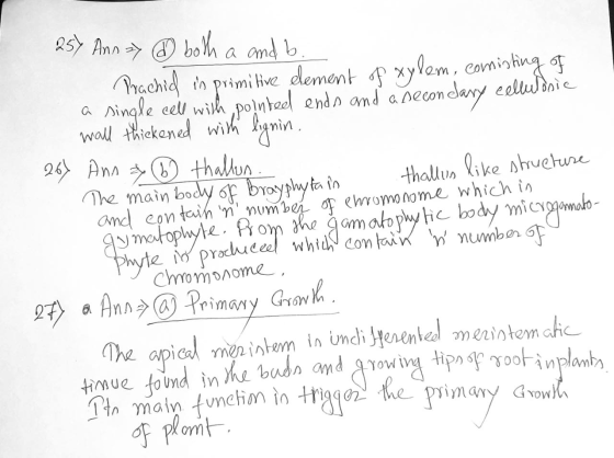 The main pain in 257 Ann => ③ both a and b. Prachid in primitive element of xylem, comisting of a single cell with pointed en