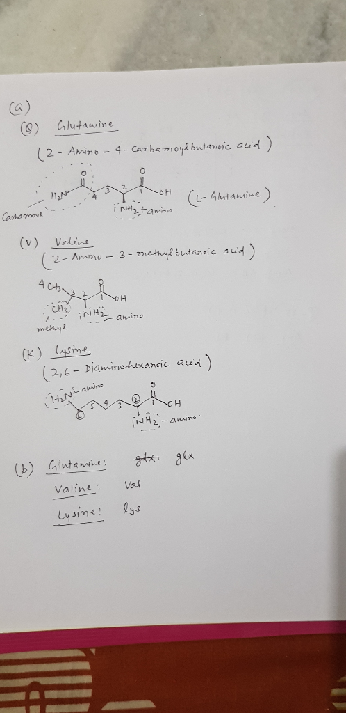 Ca) S Gtaine 2. L- hutanine Casta mey (v) Velint 2,6- Diaminsxan ·N H 2,-amine Valine