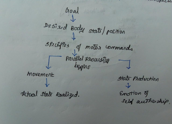 open Goal Desired Body state / position splufies of motor commands Parallel Processing begins State Production movement Actua