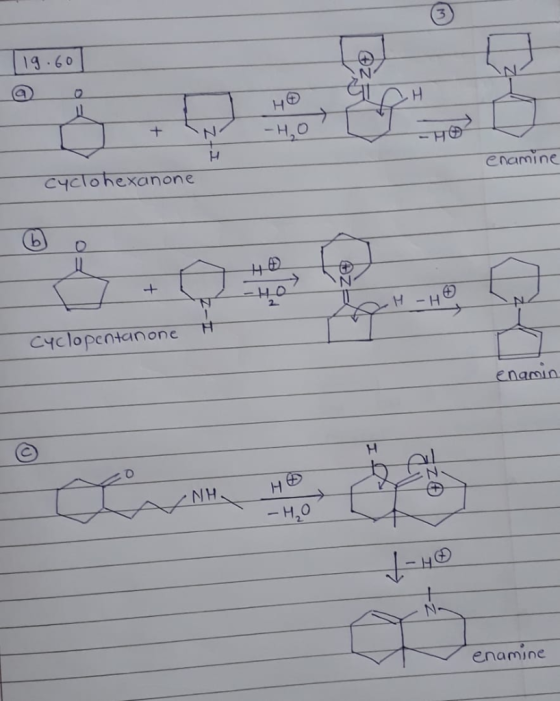 ||19.607 H - He cyclohexanone enamin Cyclopentanone H enamin ENI 2 NH, Hệ. : -40 _ o enamine