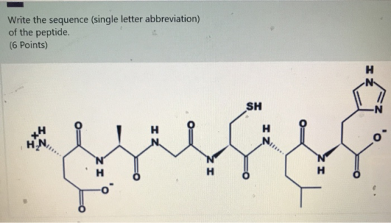 Write the sequence (single letter abbreviation) of the peptide (6 Points) H N SH H ZI N H H