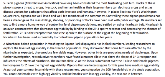 5. Feral pigeons (Columba livia domestica) have long been considered the most frustrating pest bird. Flocks of these pigeons
