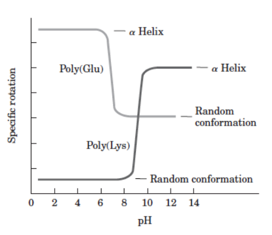 -α Helix Poly(Glu) - Helix Random conformation Poly (Lys) Random conformation 0 2 4 6 8 10 12 14 pH