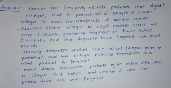 Ansuwer frequen ty Cancer cell secrete proteare that digest Collagen, theut Collagen 1 proteoly sis of collagen is occo UT ma