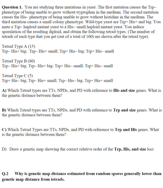 Question 1. You are studying three mutations in yeast. The first mutation causes the Trp phenotype causes the His- phenotype of being unable to grow without histidine in the medium. The third mutation causes a small colony phenotype. Wild-type yeast are Trp+ His+ and big. You mate a Trp- haploid mutant yeast to a His-small haploid mutant yeast. You induce sporulation of the resulting diploid, and obtain the following tetrad types. (The number of tetrads of each type that you get (out of a total of 100) are shown after the tetrad type) of being unable to grow without tryptophan in the medium. The second mutation Tetrad Type A (15) Trp- Hist big; Trp-His+ small: Trp+ His-big; Trp+ His-small Tetrad Type B (80) Trp His+ big Trp- His+ big; Trp+ His- small; Trp+ His-small Tetrad Type C (5) Trp+ His-big Trp- His+ small; Trp-His-big: Trp+ His+ small A) Which Tetrad types are TTs, NPDs, and PD with reference to His and size genes. What is the genetic distance between them? B) Which Tetrad types are TTs, NPDs, and PD with reference to Trp and size genes. What is the genetic distance between them? C) Which Tetrad Types are TTs, NPDs, and PD with reference to Trp and His genes. What is the genetic distance between them? D) Draw a genetic map showing the correct relative order of the Trp, His, and size loci Q.2 Why is genetic map distance estimated from random spores generally lower than genetile map distance from tetrads.