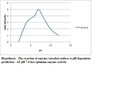 6 Series1 1 0 0 5 10 15 pH Hypothesis The reaction of enzyme catechol oxidase is pH dependent prediction - AT pH 7 it has opt