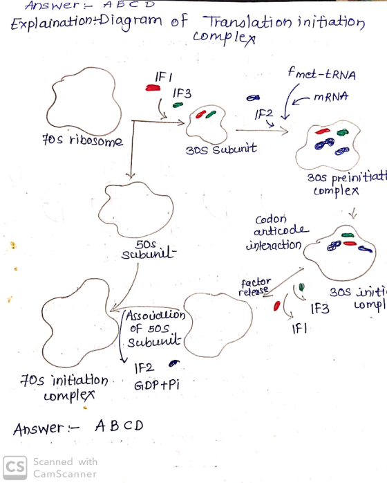 Answer:- ABCD Explaination-Diagram of Translation initiation a complex JFT 1F3 fmet-ERNA le mRNA -1F2 70s ribosome 305 Subuni