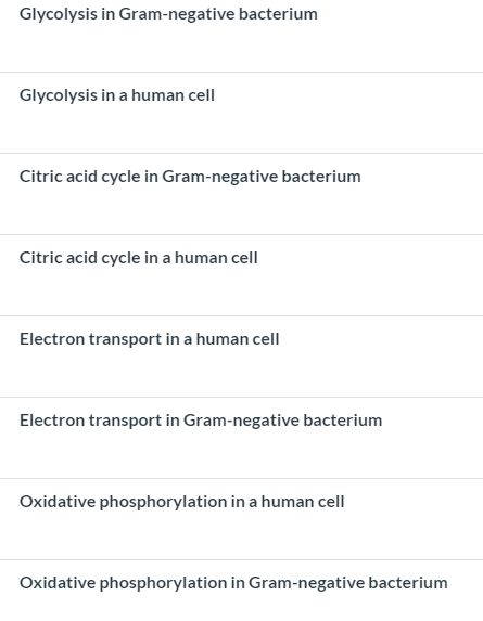 Glycolysis in Gram-negative bacterium Glycolysis in a human cell Citric acid cycle in Gram-negative bacterium Citric acid cyc