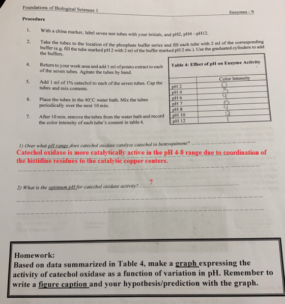 Foundations of Biological Sciences 1 Enzymes -9 Procedure With a china marker, label seven test tubes with your initials, and