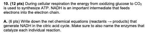 10. (12 pts) During cellular respiration the energy from oxidizing glucose to CO2 is used to synthesize ATP. NADH is an impor
