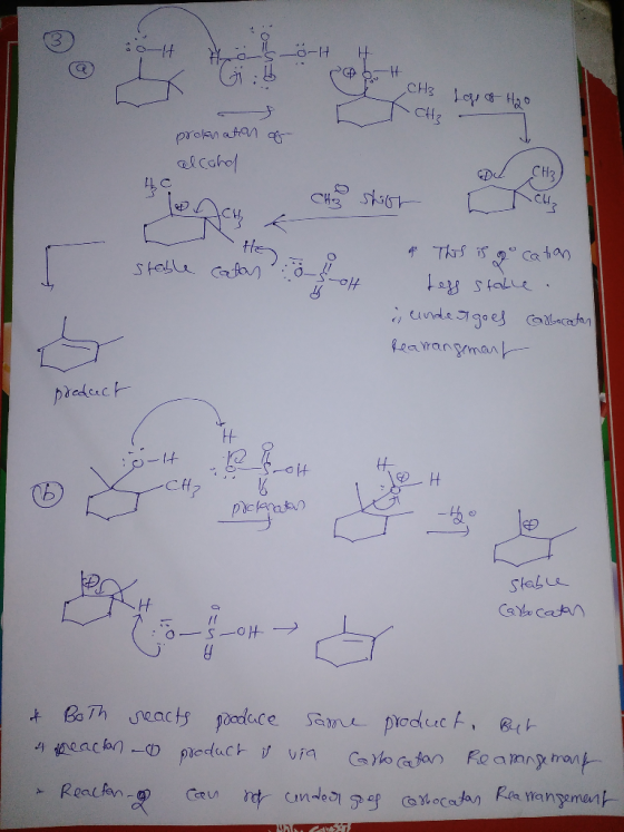 CH3 CH3 elcorol CH Hen stalle cafa Th is catan a 5t . Cinde goes ecatan Learangman picderct tH piclarata Stale CaYe cadn 17 B