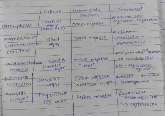culture Gram stain. Reaction Treatment Antibiotic like Ceftrixone, lefuirexime Haemophilus Chocklet / To Agarex Osram negativ
