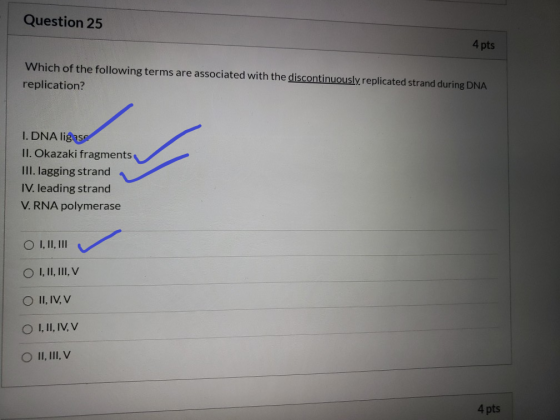Question 25 4 pts Which of the following terms are associated with the discontinuously replicated strand during DNA replicati