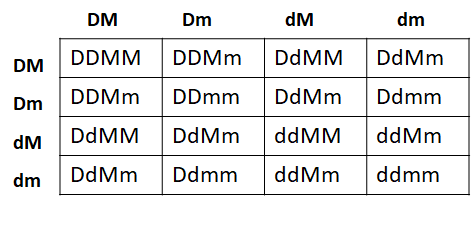 DM DM DmdM dm DDMM DDMm DIMM DdMm DDMm DDmm DdMm Ddmm DdMM DdMm ddMM ddMm DdMm ddMm ddmm Dm dM dm