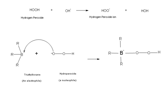 HOOH он HOO HOH Hydrogen Peroxide Hydrogen Peroxide ion 尺 R-B Trialkylborane Hydroperoxide (An electrophile) (a nucleophile)