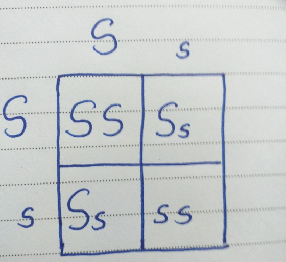 3 ** ** Ssss ********