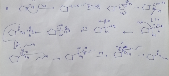 CN CEN -CENY o Come grees and organic of the IPT neon ING +134 loro on 1b. on 애 on in Ton Don PT
