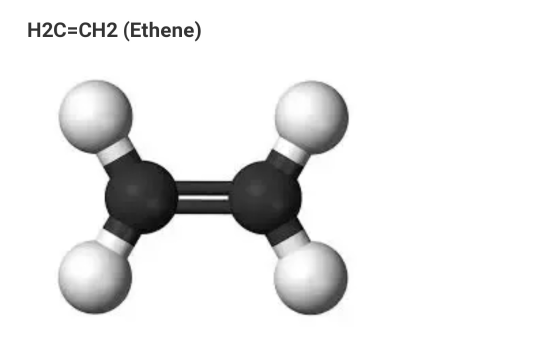 H2C=CH2 (Ethene)