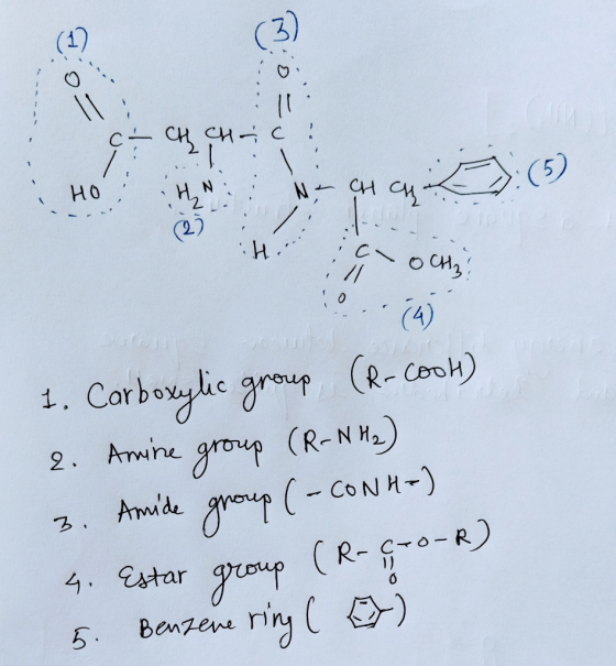 (1) (3) CH SH C : HO Н, N // (4) (R-Cook) 1. Carboyle group (R-N H) grup 2. Ammne (-CONH-) 3. Amde (R--0-A) 4. estar grup Ben