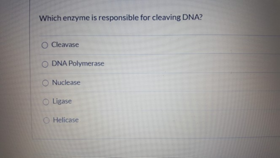 Which enzyme is responsible for cleaving DNA? O Cleavase ODNA Polymerase O Nuclease O Ligase O Helicase