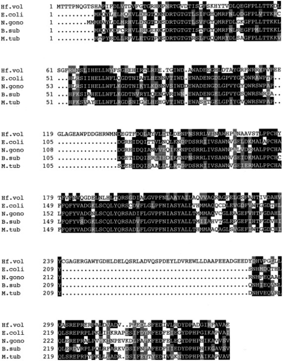 Hf.vol E.coli N.gono B.sub M.tub 1 MTTTPNOGTSHAPIFDLVTD VFGTGRHKPNRTGVDTISGFSKHYTVDLQEGFPLLTTKDL 1 ..........MKOYLELMOK VLDEG