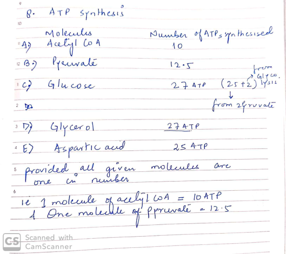 10 Glyco 25+ 2) lysis 8. ATP synthesis - Molecules шоуел Ате, аn hts yox A Acetyl CoA 10 12 B) Pyrivate 12.5 7 Glucose 27 ATP