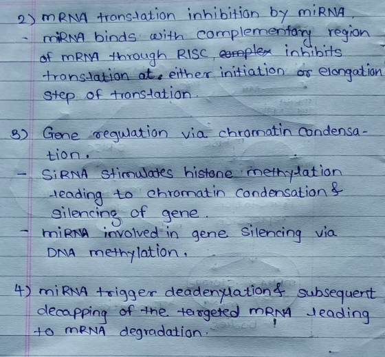 2) mRNA tronstation inhibition by miRNA miRNA biods with complementary region of MRM through RISC, Bomplex inhibits translati
