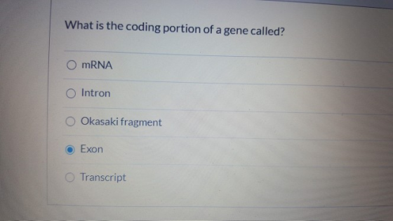 What is the coding portion of a gene called? O mRNA Intron Okasaki fragment Exon Transcript