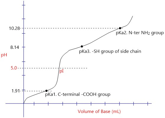 10.28---- pKa2. N-ter NH2 group 8.14 t pKa3. -SH group of side chain pH 5.0 pl 191キ pKa1. C-terminal -COOH group Volume of Ba