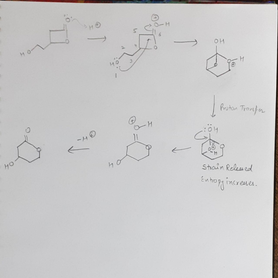 O- H OH Proton Transfer HO ИО Strain Released Entropy increases.