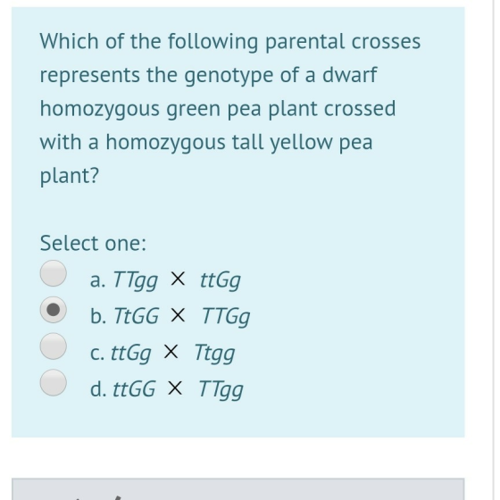 Which of the following parental crosses represents the genotype of a dwarf homozygous green pea plant crossed with a homozygo