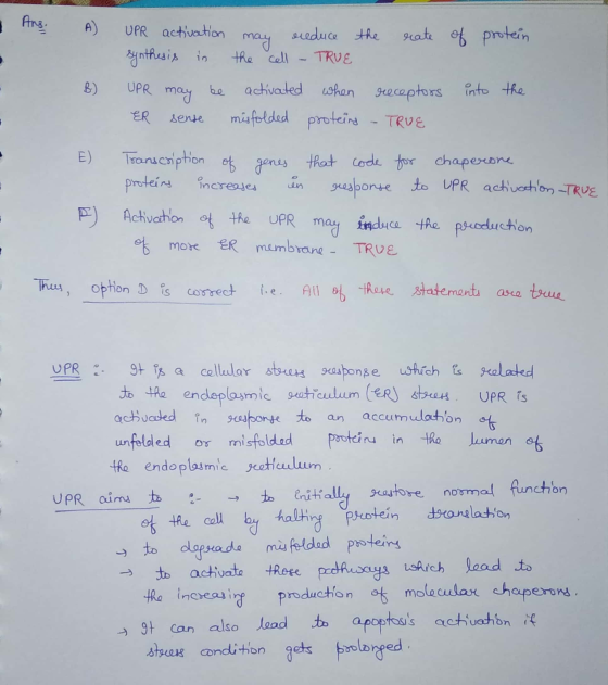 I Ans. A) UPR activation synthesis in reduce the TRUE may the cell rate of protein B) UPR may be activated when receptors int