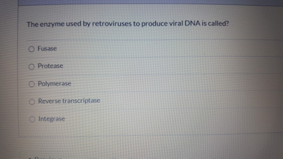 The enzyme used by retroviruses to produce viral DNA is called? Fusase Protease O Polymerase Reverse transcriptase O Integras