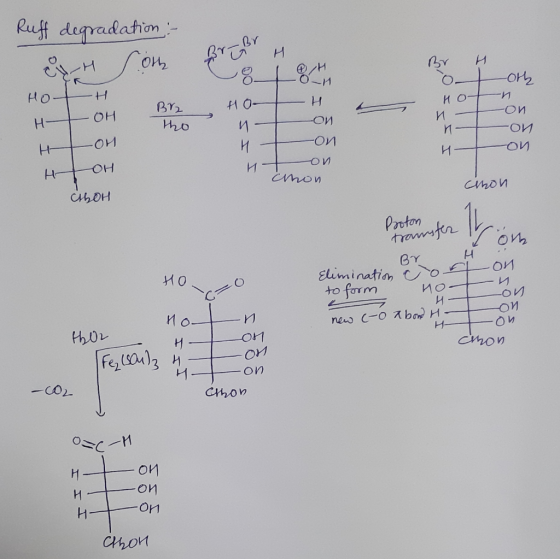 Ruft degradation BY H frTAr оne HO HO И - BY2 И. OH H И И -ОИ -On -ои On Ht On и On OH Cmon Cmon сон Prton framsfer BY Elimin