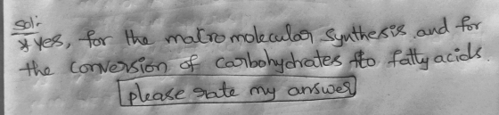 soli natro Synthesis and for x yes, for the molecular the conversion of carbohydrates to fatty acids please rate my answer