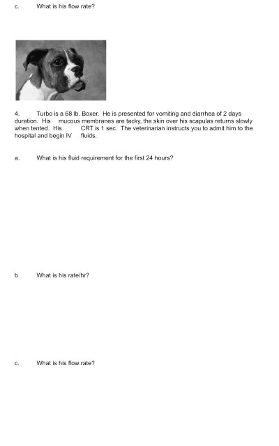 c. What is his flow rate? Turbo is a 68 lb. Boxer. He is presented for vomiting and diarrhea of 2 days duration His mucous me