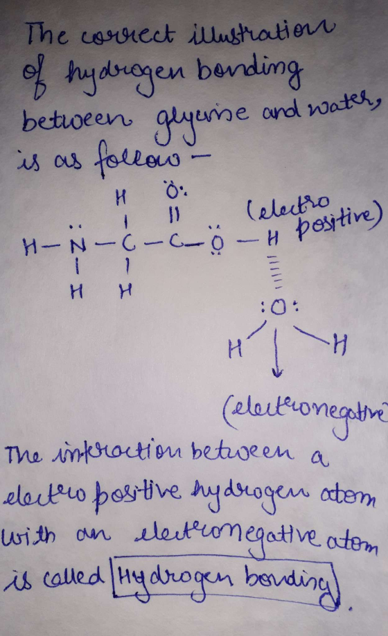 The correct illustration H-N-6-6-ot positive) of hydrogen bonding between glyerne be and water, is as follow - H Ö: 11 (elect