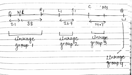 C ... Ms G 212 38 14.7 Linkage linkage group ! Linkage group 2 group 3 Linkage group -