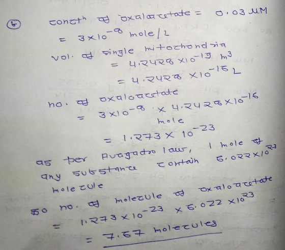 congth I oxalacetate = 0.03 MM - 3x10 co mole/2 vol of single mitochondria = 4.242 alo19 m3 = परपर X10-15 no. of oxaloacetate