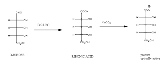 CoO соон CHO Br2 H20 CH2OH CH20H CH2OH D-RIBOSE product optically active RIBONIC ACID