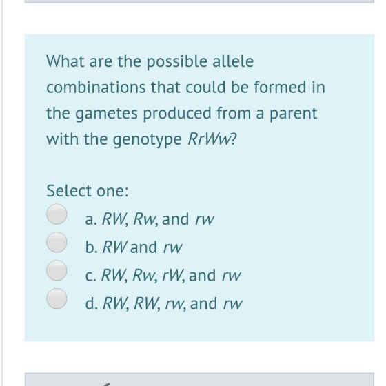 What are the possible allele combinations that could be formed in the gametes produced from a parent with the genotype RrWw?