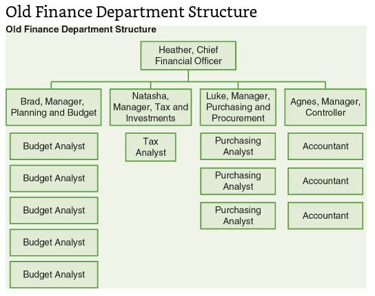 Old Finance Department Structure Old Finance Department Structure Heather, Chief Financial Officer Brad, Manager, Planning an