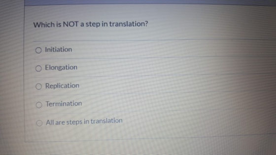 Which is NOT a step in translation? O Initiation Elongation Replication Termination All are steps in translation