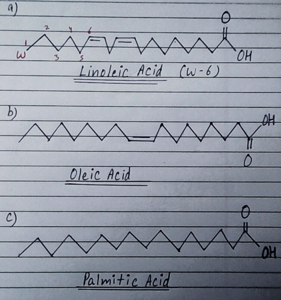 Nunon - Linoleic Acid (W-6) L Oleic Acid COH Palmitic Acid