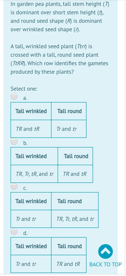 In garden pea plants, tall stem height (7) is dominant over short stem height (t), and round seed shape (R) is dominant over