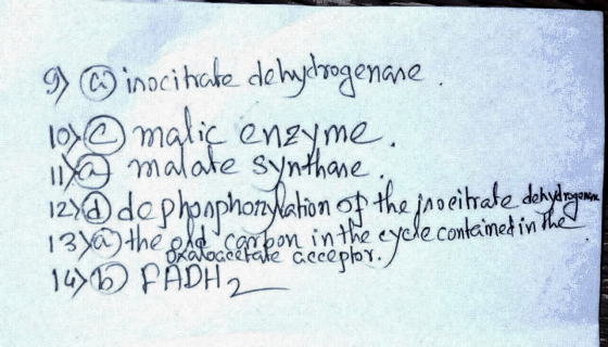 9 © inoci habe debydrogenare 1 © maliç enzyme ixa malate synthase, 123d de phosphorylaton on the inocitate dehydrogewen. 13ya
