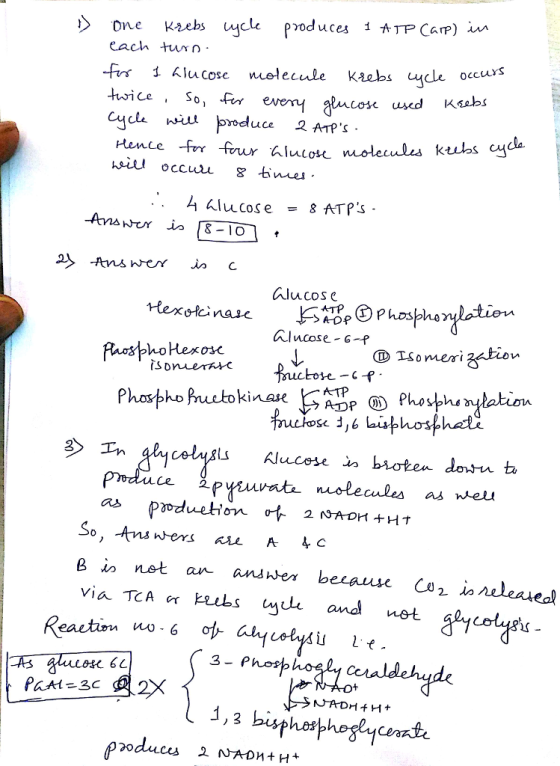 each turn - cose usd sbs la. cules kubs 시ucos e 8 ATPs Alucose hlucose-6 in ase ADP Bin nst an aus 사er because 3- P